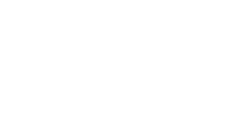 Chang Custom